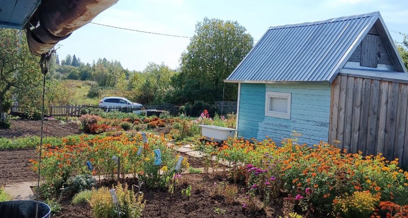 За машину на дачном участке будет штраф от 3-5 тысяч рублей: в мае ввели новые правила - запомните их раз и навсегда