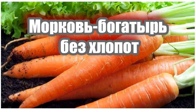  :      40%   