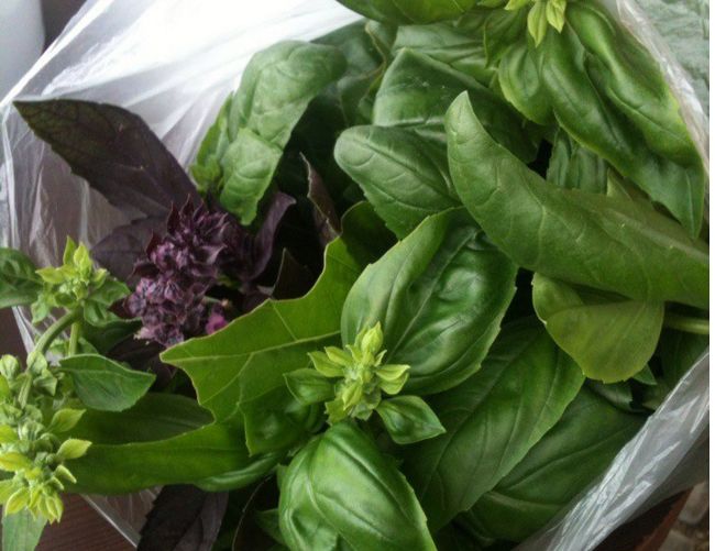 Как сохранить зелень свежей на долгое время: простые советы