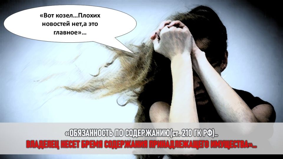 Как пропажа кота привела к семейной драме и юридическим терзаниям