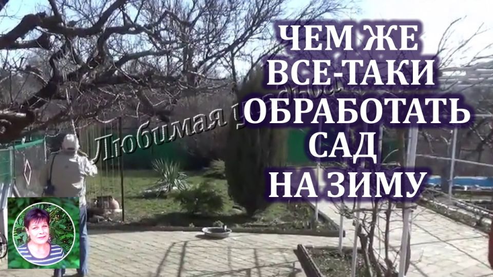 Как правильно подготовить сад к зиме: полезные советы и рекомендации