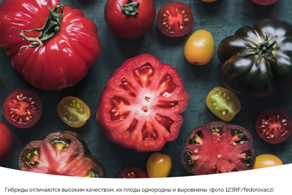 ���� ��� ������: ��� ������� ��� ��������� ������?