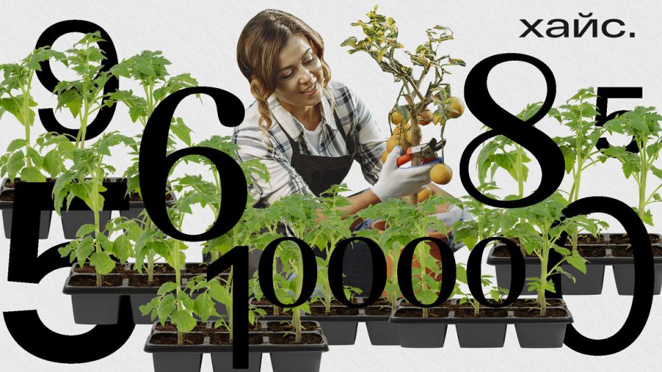 ������ ������ � 40 ���: ����� ��� ���������� ��� �������?