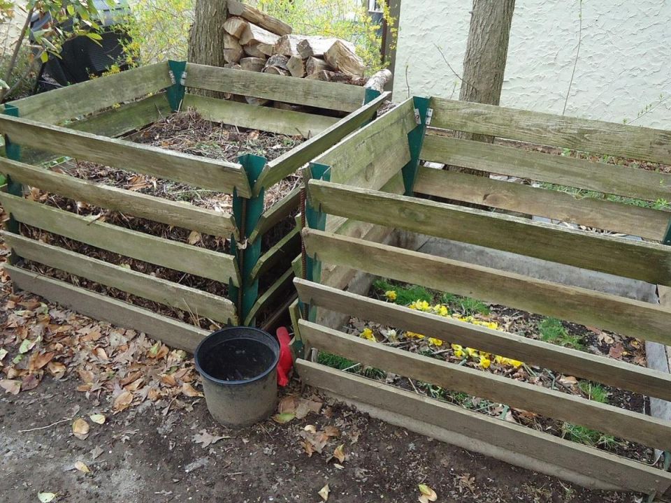 В поисках натуральности: чем червивые яблоки лучше обычных?