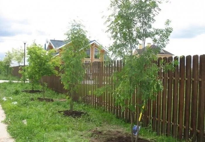 ��� ���������� � ���������� ���������: ������������ ����������� ��� ��������