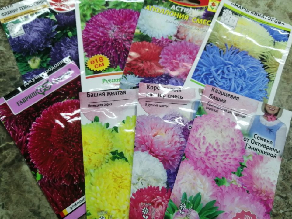 ��� ������ � �������: ������ �� ������ ��������� �������