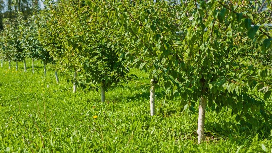 ������� � ����: ��� �������� ������� �� ������ ��������������