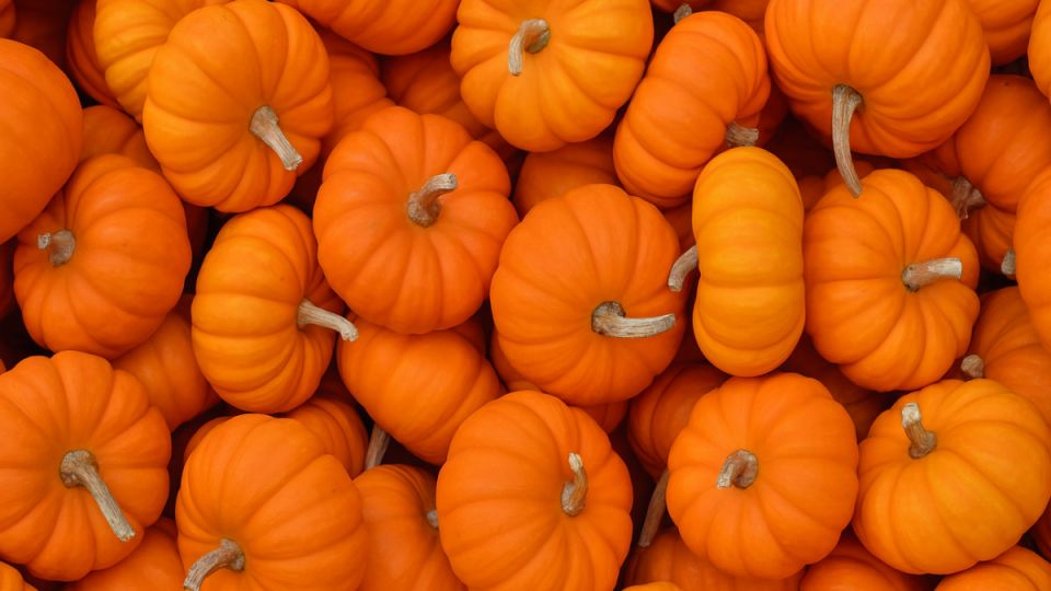 ��������� ������� ��� �������� �����������