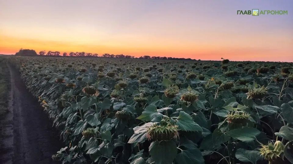 ������� ��� ������ ������� ������ � ������� �������������� �����