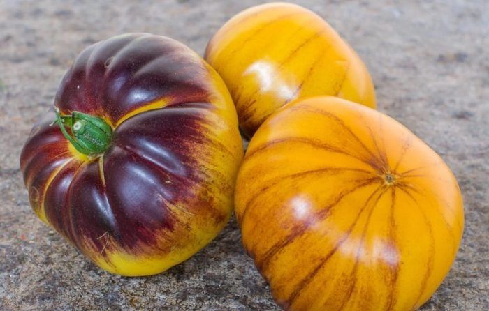 ������� ���: ����� � ���������� ������ � ������, ���������� �����������