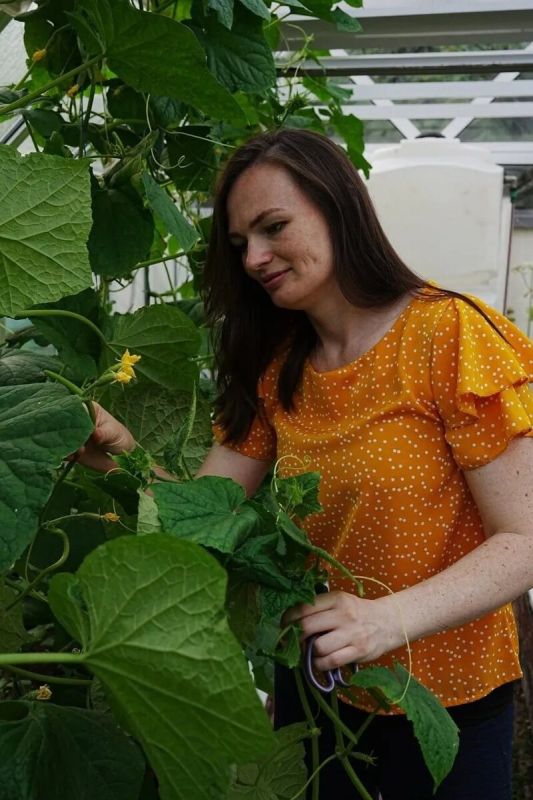 ���� ��� ���������: ��� ������� �������� ������