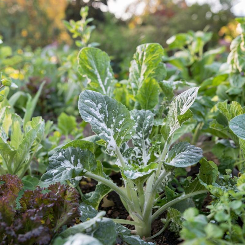 ������ � ��������� �����: ��� �������� ������ � ������������ ����������