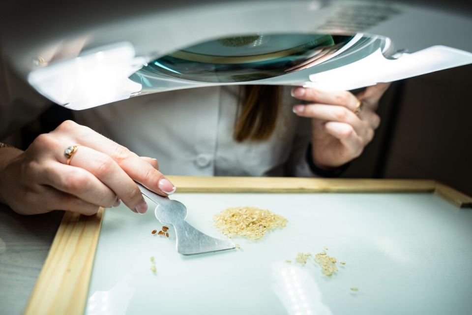 �������� � ������ ����: �� ������� �� �����