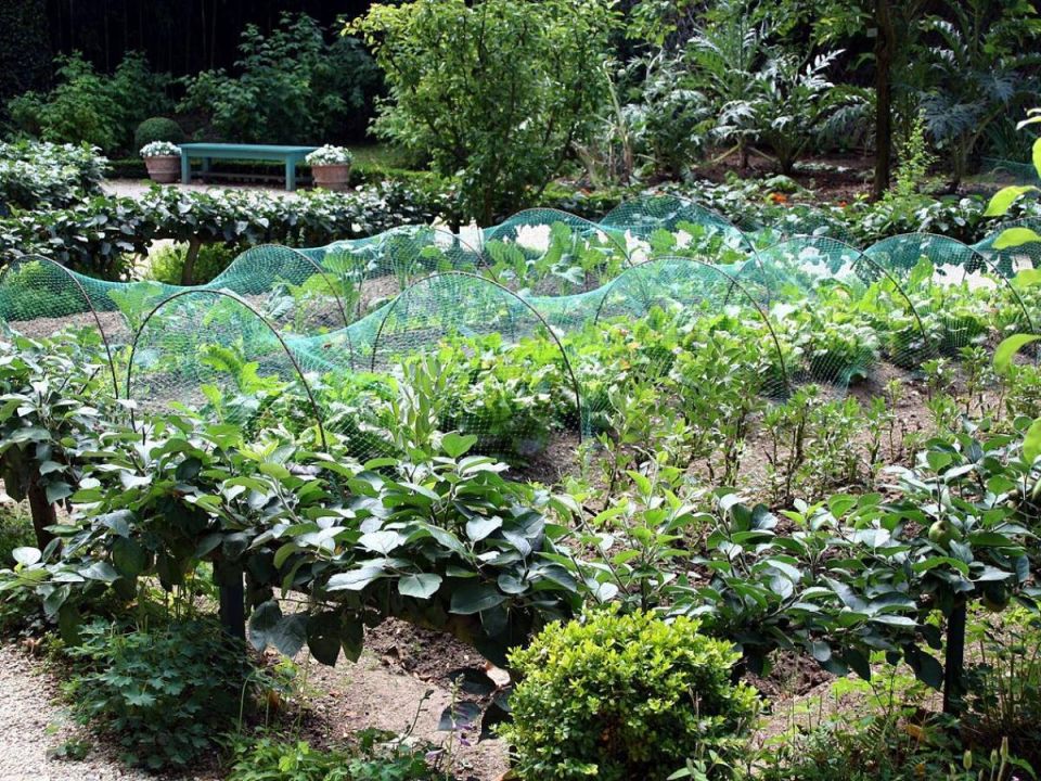 ��� ���������� �� ����: ��� ������ ��� ����� ��� ��������