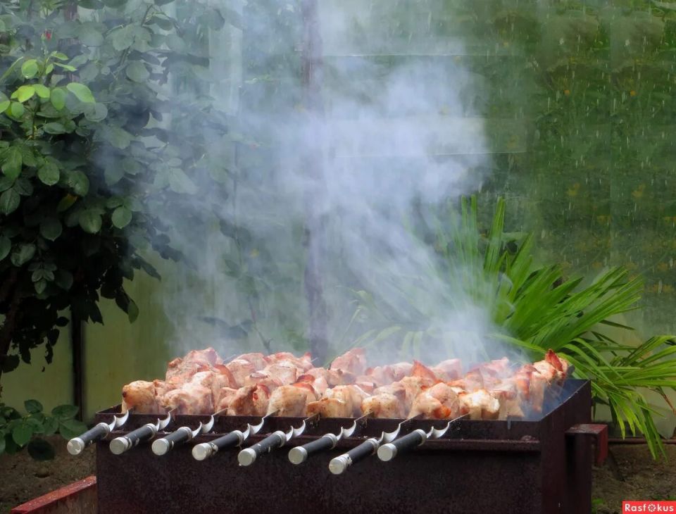 ����-������: ��� ��������� ���� ����� ������ ����� �������� ��� ����