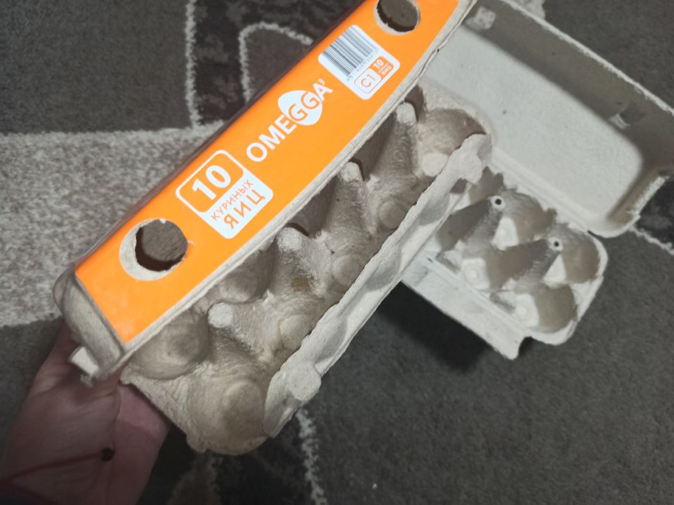 Упаковка от яиц становится quietly полезной в быту