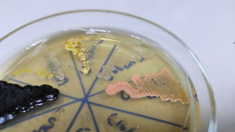 ��������� ���: ������� � ������� ���������������