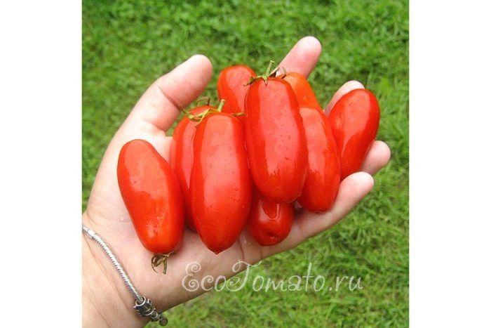 ��������: �������������� ����� � ������������� ������ ��� ���������