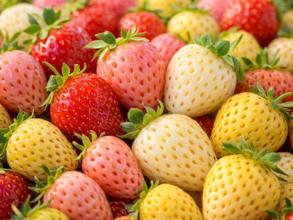 ������������ ���������: ����������� ������ �� ���� � �������