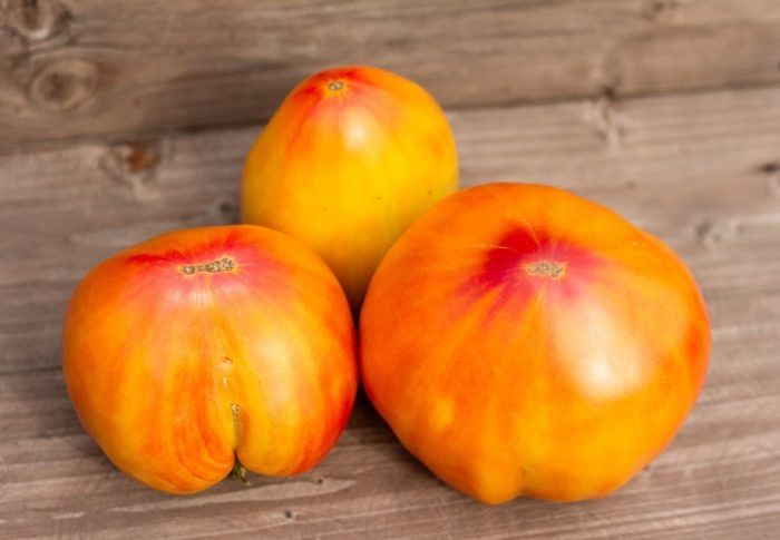 ����� ��������� ������: ������� �������� ������������ ��� �������