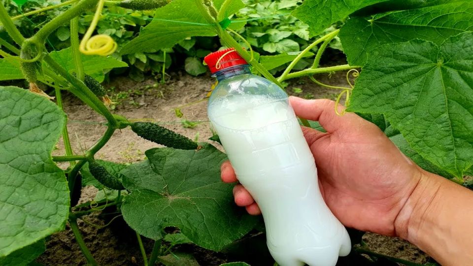 13 ������ ��� ������: ��� ������ ���������� ������� ��� ���������� ���������