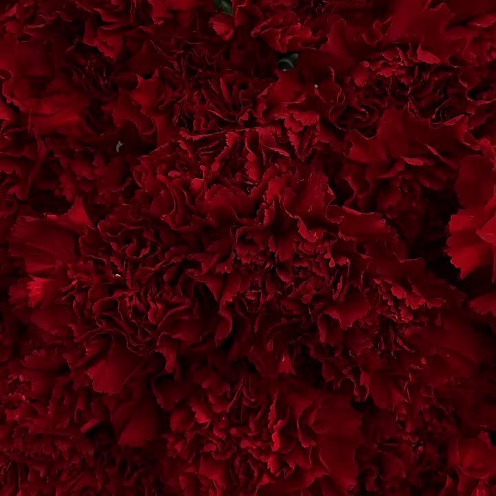 80    .        