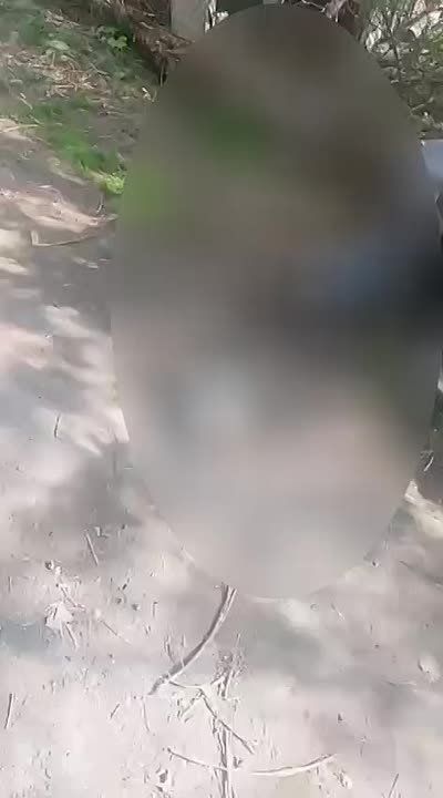  -      -,    