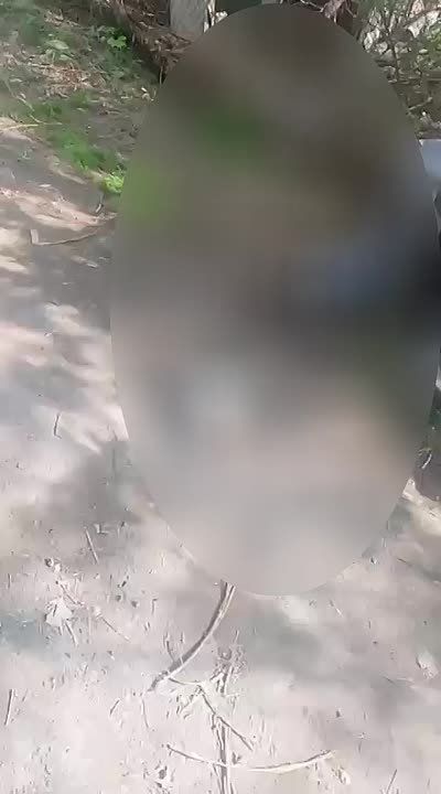   -    ,    ,           