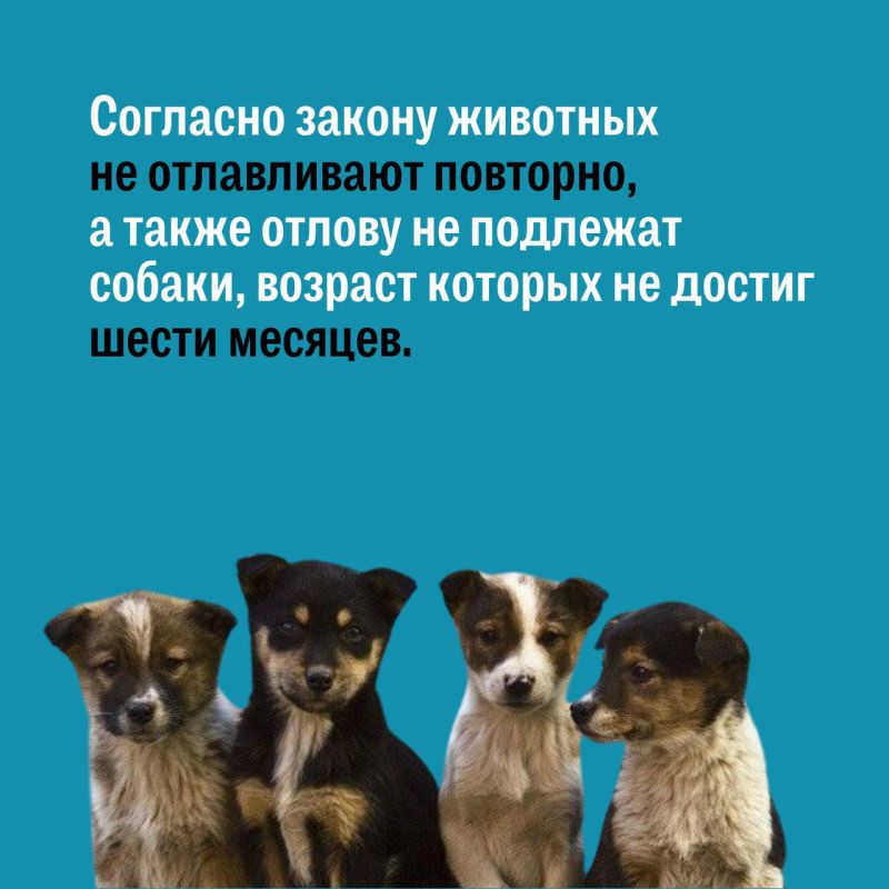  :  ?