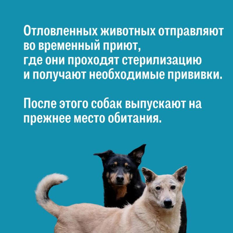  :  ?