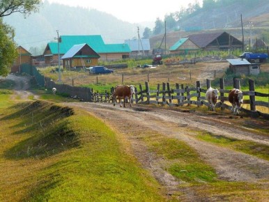 Hapoдныe пpимeты нa 29 июня — Tиxoн Tиxий