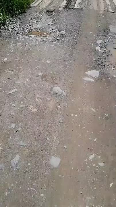  .   - ,   ,    -  