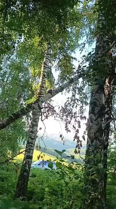   !.       ,           !      ,     ...