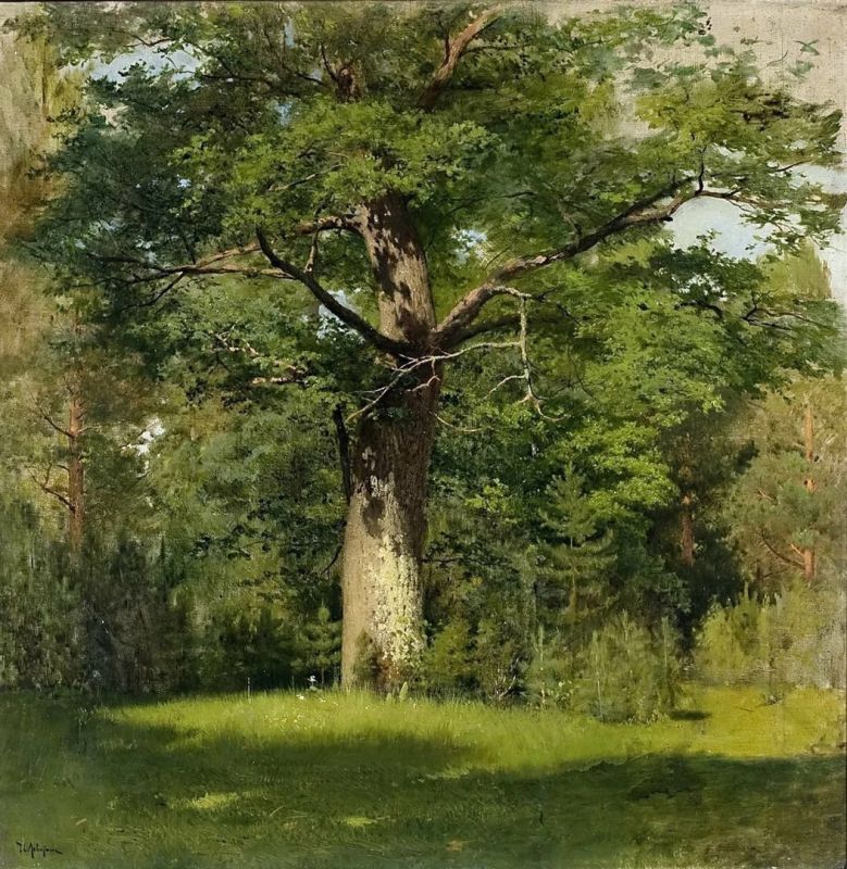 , 1880. ,  57,5  57,6 