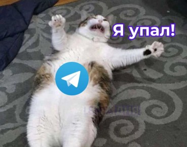  Telegram   