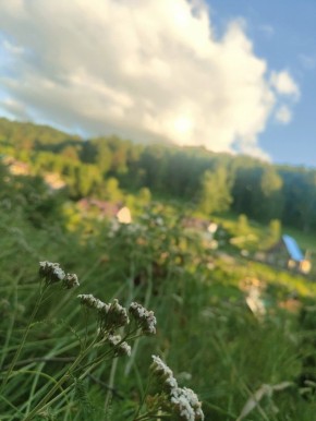 #. ***      
