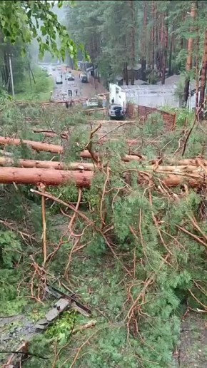 Из-за сильных порывов ветра на дороге за Аскатским мостом в сторону села Аноса произошло падение деревьев