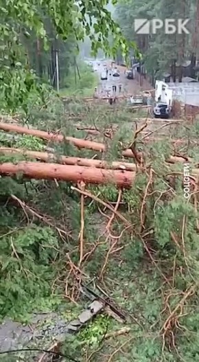 Ураганный ветер и град в Республике Алтай