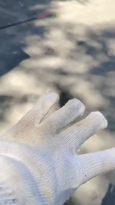      ?  