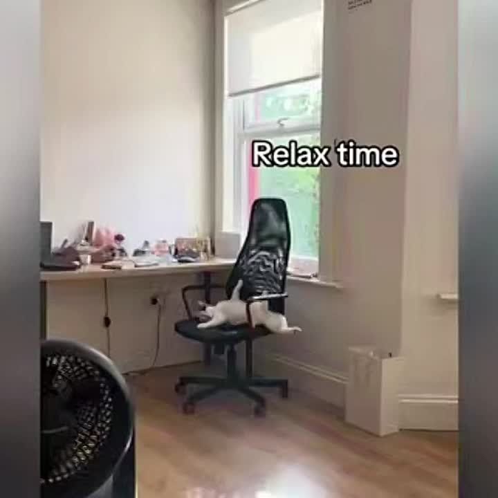  .    13:00  14:00
