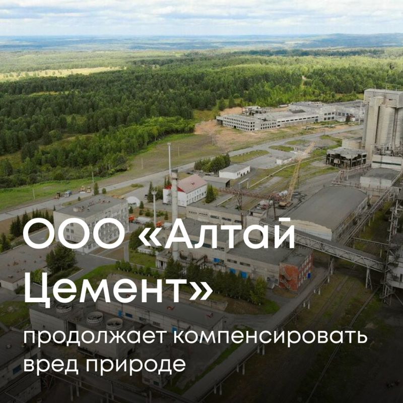  2022                