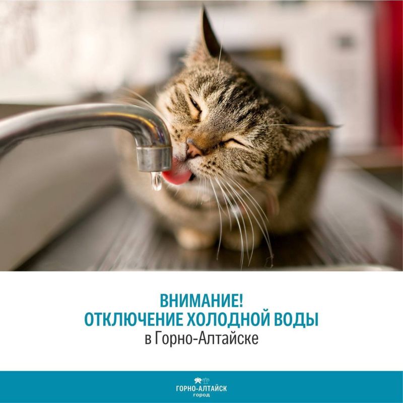  , ,   13  15   9:00  18:00      : , , 