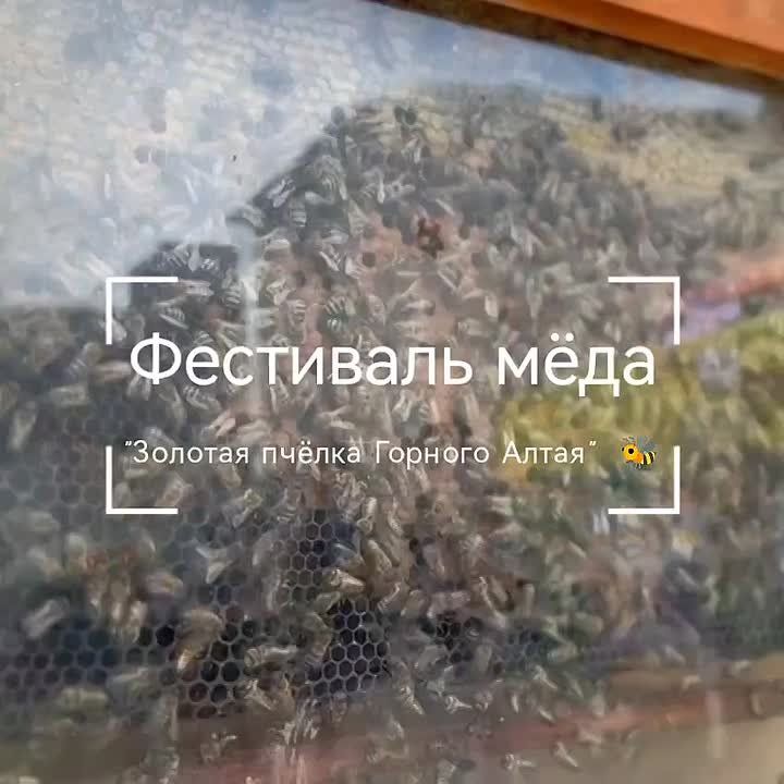     -       !