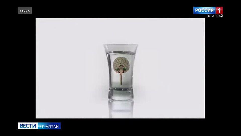   18  24  2025       