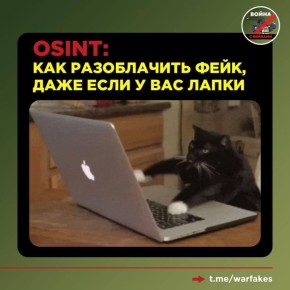     : ,    ,        MAX