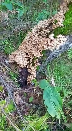       ?       ?      !