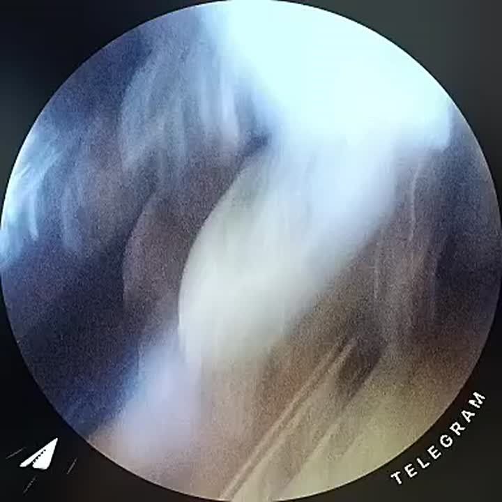    -       ,        ,            ...