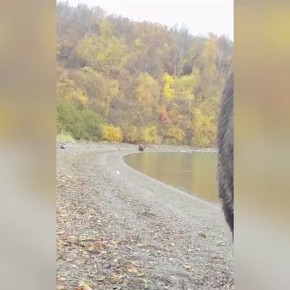 План по накоплению жирка на зиму перевыполнен!