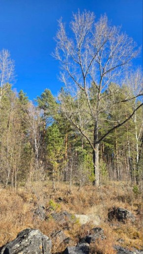 Погода сегодня была великолепной! Фото: Наталья Сладкова