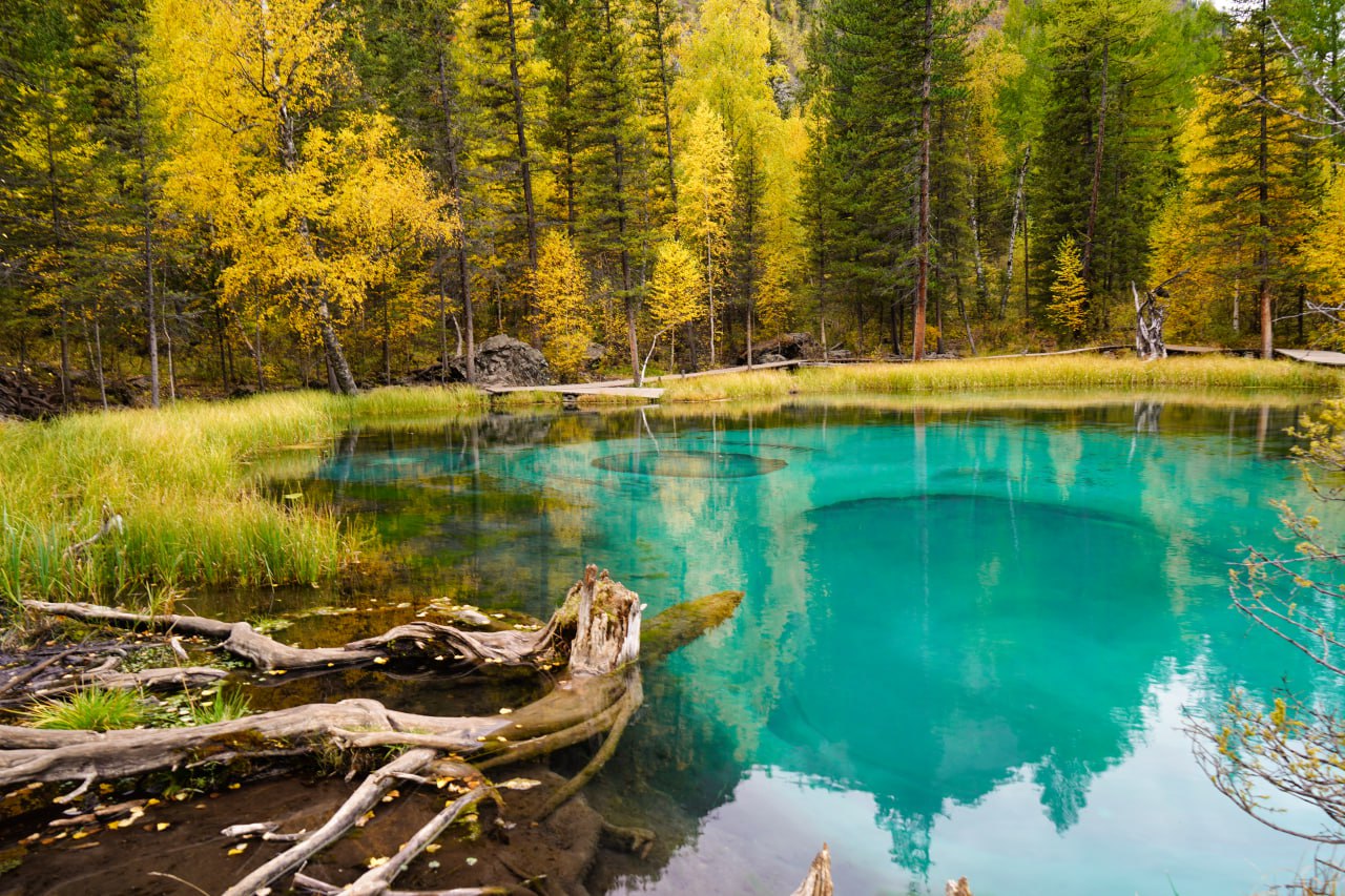 Осенний Алтай, знаковые локации, фото Елены Шевелевой Осенний Алтай, знаковые локации, фото Елены Шевелевой